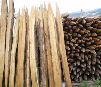 Estacas de madera de acacia