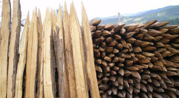 estacas de madera de acacia