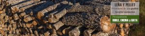 Gestino forestal sostenible