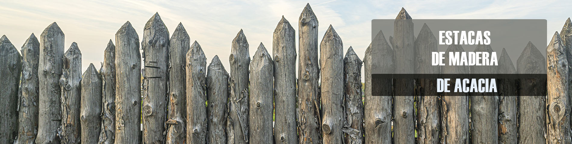 Estacas de madera de acacia