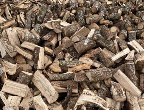 ¿Qué tipo de madera comprar?