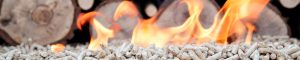 Pellet y leña de calidad y al mejor precio